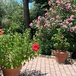 Bed & Breakfast Il Lauro 3*
