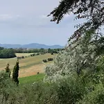 Il Lauro San Costanzo