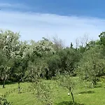 Il Lauro San Costanzo