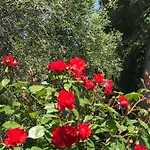 Il Lauro 3* San Costanzo