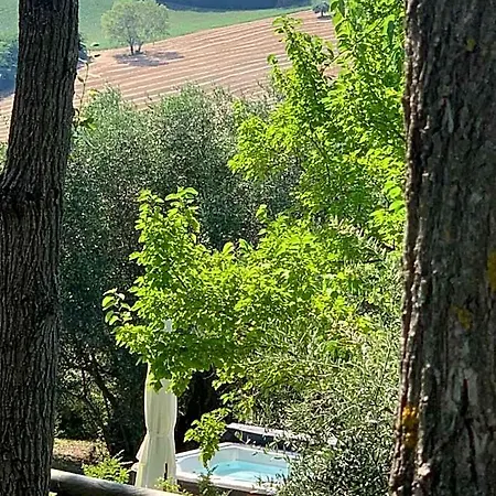 Il Lauro Couette-café San Costanzo