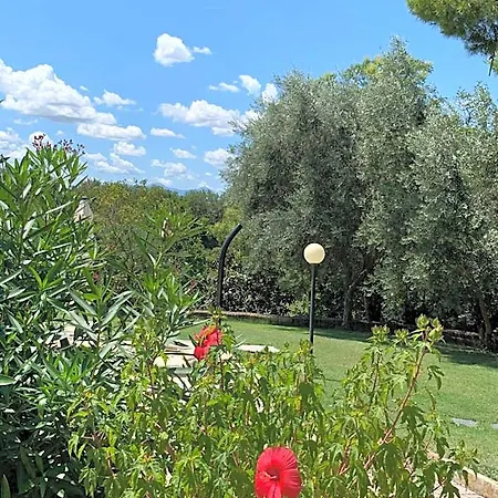 Il Lauro