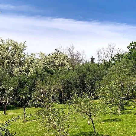 Il Lauro 3*