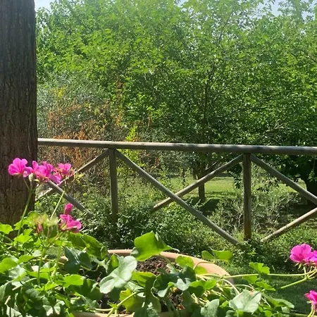 Il Lauro לינה וארוחת בוקר San Costanzo