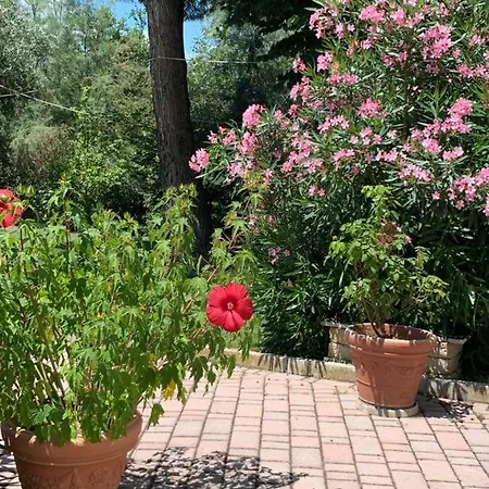 Bed & Breakfast Il Lauro 3*