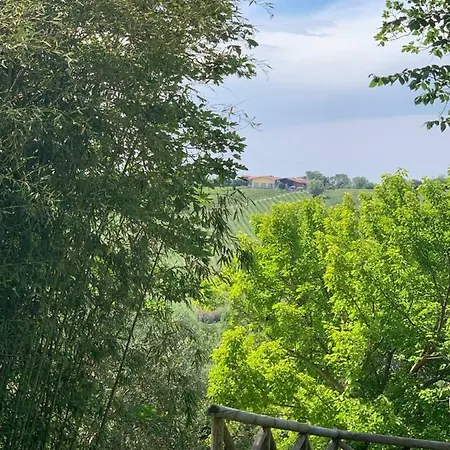 Il Lauro Bed & Breakfast