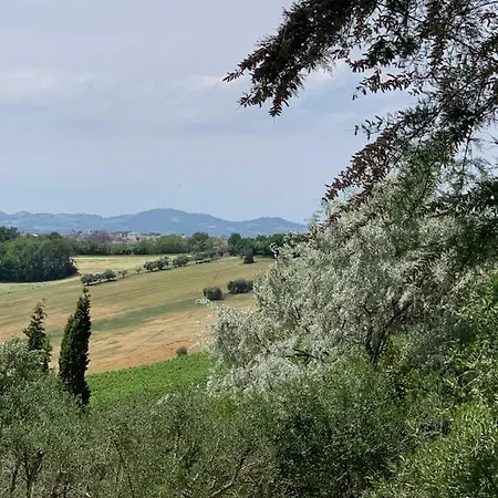 Il Lauro San Costanzo