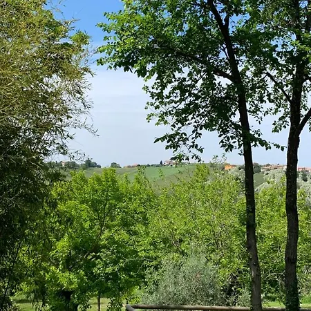 Il Lauro Bed and breakfast San Costanzo