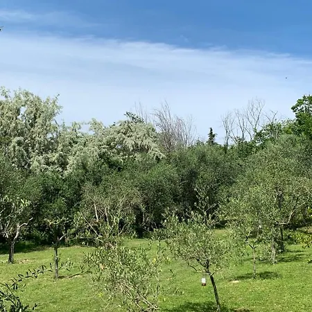 Il Lauro San Costanzo