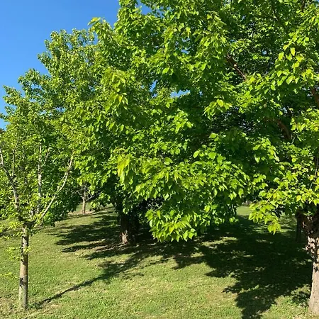 Il Lauro San Costanzo